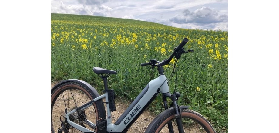 Bild mit Fahrrad
