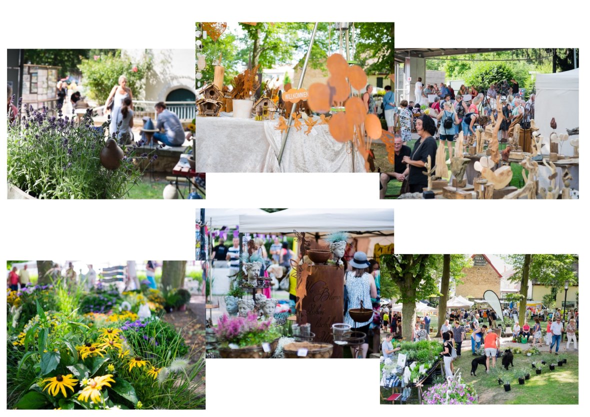 Collage mit Fotos und Eindrücken der GartenZeit 2019
